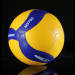 Мяч волейбольный Larsen MV700 р.5 75_75