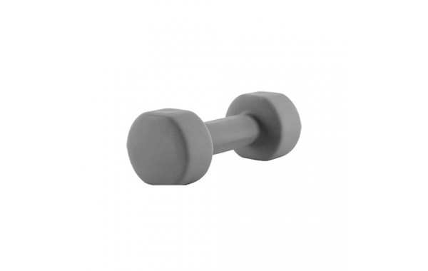 Гантель для аэробики неопреновая PRCTZ NEOPRENE DUMBBELL, 4 кг PS7125 600_380