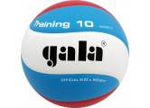 Мяч волейбольный Gala Training 10 BV5567S р.5