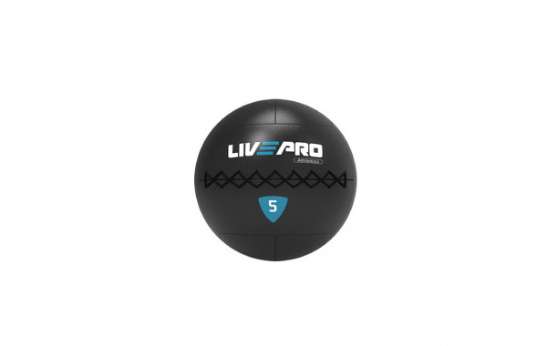 Медбол 4кг Live Pro Wall Ball PRO LP8103-04 600_380