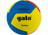 Мяч волейбольный Gala Training 230 12 BV5655S р. 5
