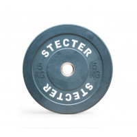 Диск тренировочный Stecter D50 мм 5 кг (серый) 2191