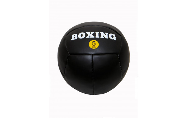 Медицинбол 5кг Totalbox Boxing МДИБ-5 600_380