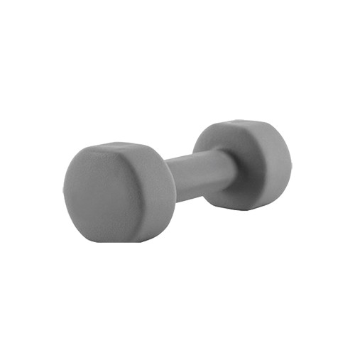 Гантель для аэробики неопреновая PRCTZ NEOPRENE DUMBBELL, 4 кг PS7125 500_500